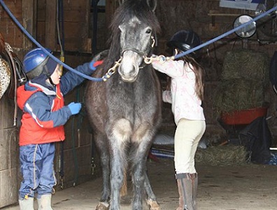 Kids pony for sale PA- grooming